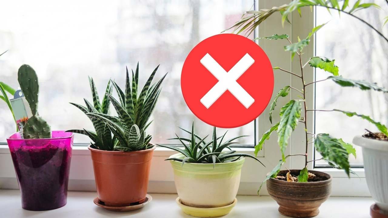 tendencia 2026 balcon